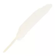 Feathers 10 to 15 cm White x100