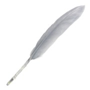 Feathers 10 to 15 cm Grey x100