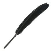Feathers 10 to 15 cm Black x100