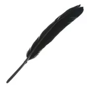 Feathers 10 to 15 cm Black x100