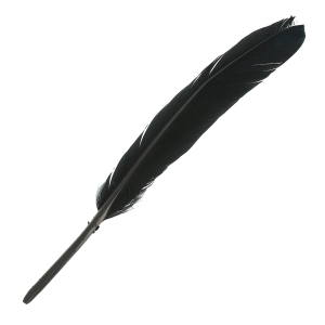 Feathers 10 to 15 cm Black x100