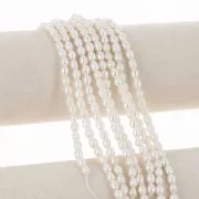 5x4.5mm Freshwater beads rice grain - Grade AA - White x10