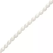 9x7mm Freshwater pearls grain of rice - Grade AA - White x6