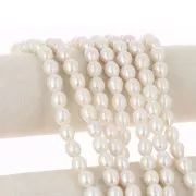 12x10mm Freshwater beads rice grain - Grade AA - White x 39cm