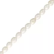 13x11mm Freshwater pearls rice - Grade A - White x 38cm