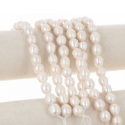 13x11mm Freshwater pearls rice - Grade A - White x 38cm
