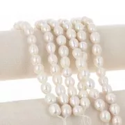 13x11mm Freshwater pearls rice - Grade A - White x 38cm