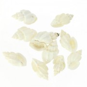 Twisted shells charms 15 mm Natural x10