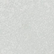 Preciosa Seed beads 15/0 - 1.5 mm Crystal x10g