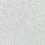 Preciosa Seed beads 15/0 - 1.5 mm Crystal x10g