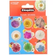 Fleurs séchées