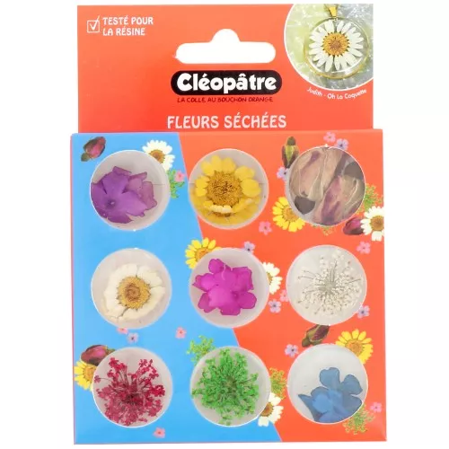 Assortment of 21 dried and pressed Cleopatra flowers - Multicolored