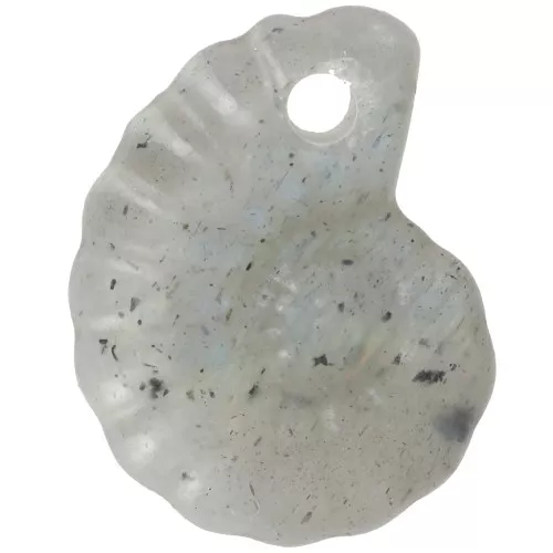 20x16mm Spiral Shell Gemstone Pendant - Labradorite x1