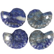 20x16mm Spiral Shell Gemstone Pendant - Lapis Lazuli x1