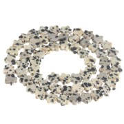 Flower beads 6 mm gemstone - Dalmatian Jasper x38cm