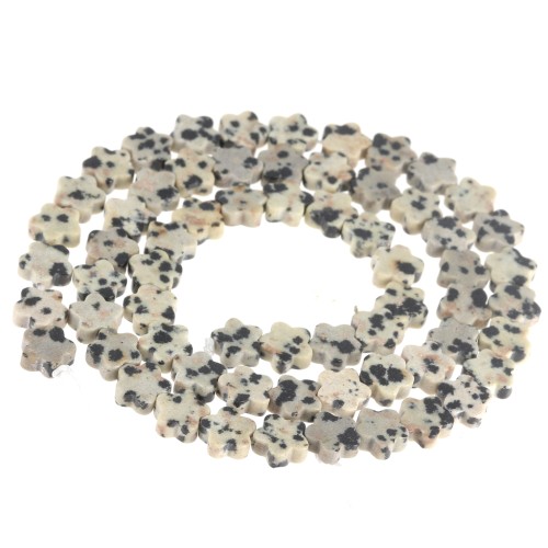 Flower beads 6 mm gemstone - Dalmatian Jasper x38cm