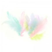 Assortment of rooster feathers 7cm Pastel x20