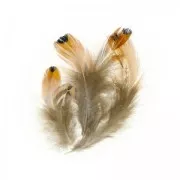 Assortment of heart pheasant feathers 7 cm Natural x10g