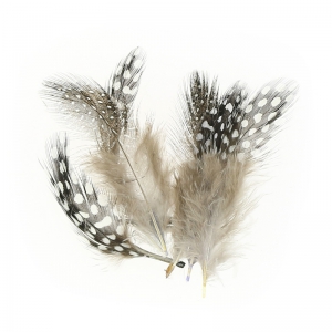 Assortment of guinea fowl feathers 5 cm Natural x10g