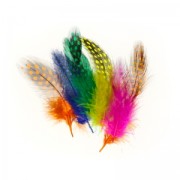 Assortment of guinea fowl feathers 5 cm Multicolor x10g|raw }}