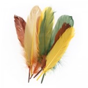 Assortment of goose feathers 15 cm Autumn x20g|raw }}