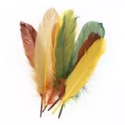 Assortment of goose feathers 15 cm Autumn x20g