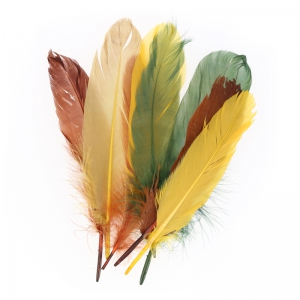 Assortment of goose feathers 15 cm Autumn x20g