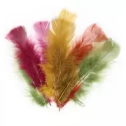 Feathers assortment 5 to 15 cm Autumn x25g