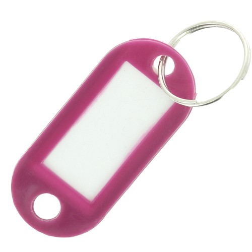 50x22mm Plastic key ring with label for bag grigri - Plum x1