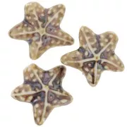 19x21mm Ceramic starfish bead - Brown x1