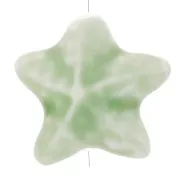 Light green - 19x21mm Ceramic starfish bead - Light green x1 19x21mm Ceramic starfish bead - Light green x1