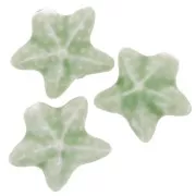 19x21mm Ceramic starfish bead - Light green x1