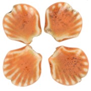 14mm Ceramic Shell Beads - Orange - Mottled Black x4