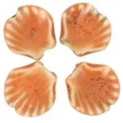 14mm Ceramic Shell Beads - Orange - Mottled Black x4