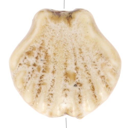 14mm Ceramic Shell Beads - Beige - Brown speckled x4