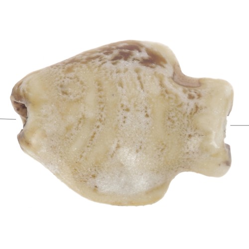 14x19mm Ceramic fish bead - Marbled Sand x1