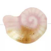 20x16mm Ceramic shell bead - Light pink - Marbled Beige x1