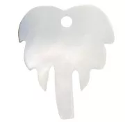 18x14mm Palm tree pendant mother-of-pearl - Natural x1