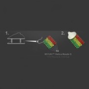 Sterling Silver lobster claw clasp Terminator 9 mm for Miyuki 11/0 6 ro