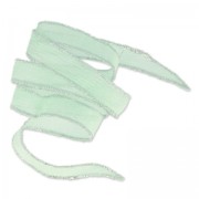 Silk ribbon surpiqûre argenté 15mm Mint x85cm