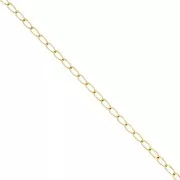 3.3mm Stainless steel 316L Horse chain - Gold x50cm