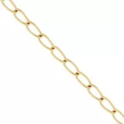 3.3mm Stainless steel 316L Horse chain - Gold x50cm