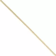 Chain link Curbed 2.9 mm - Stainless steel 316L Gold x50cm