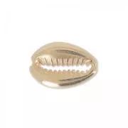 Shell spacer 19 mm gold tone rose x1