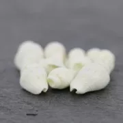 Assortment of mini shells 10 mm Natural x 10