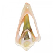 Pendant Shell slice 50 mm Cream x 1