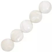 Natural White Shell Bead 13mm x1
