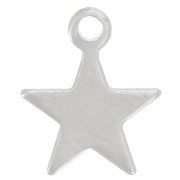 Star Charm 10.5x8.5 mm - 304 Stainless Steel x1