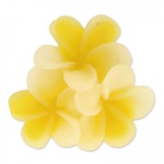 Resin cabochon flower 22mm Yellow x1|raw }}