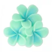 Resin cabochon flower 22mm Mint x1